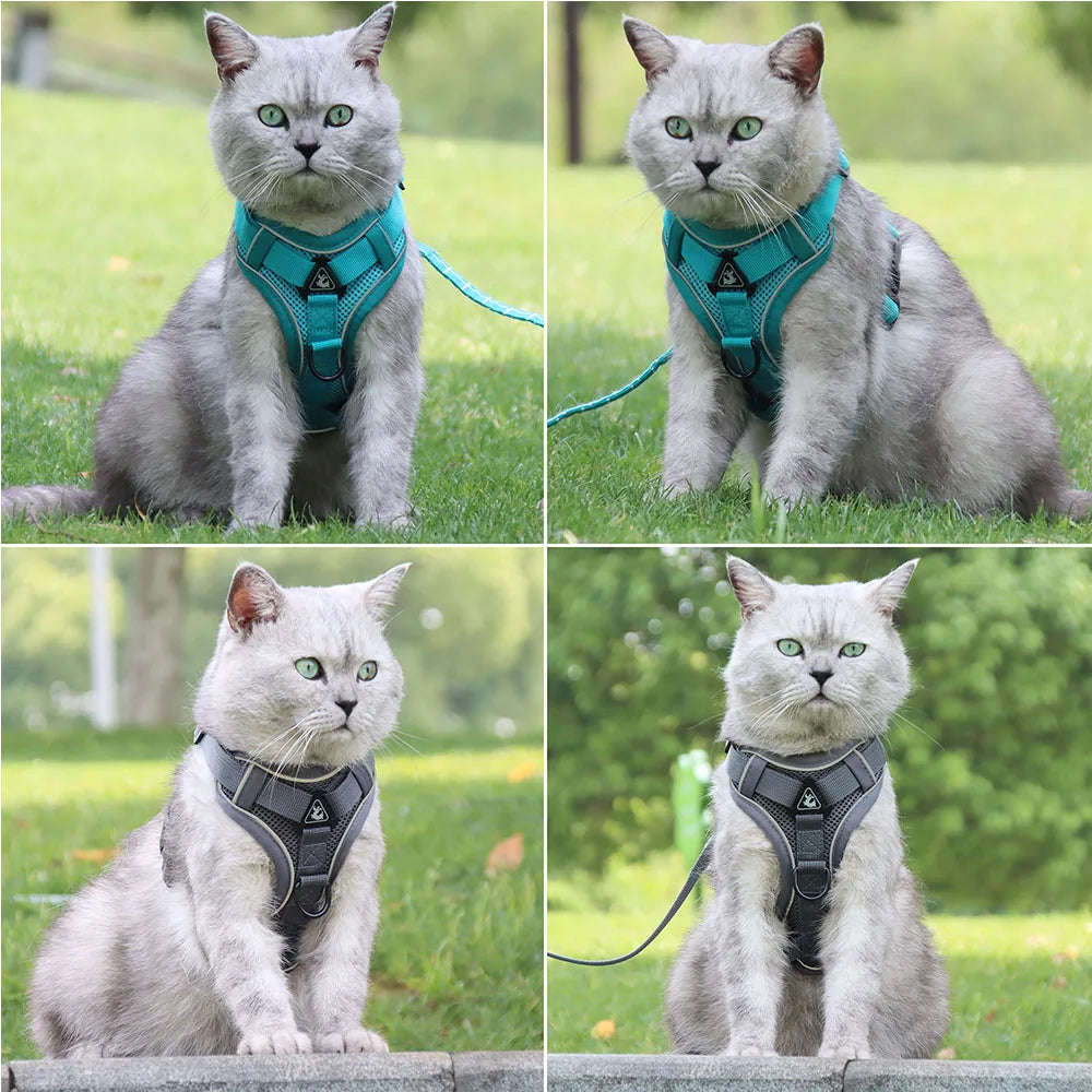 Small Dog Harness and Leash Set