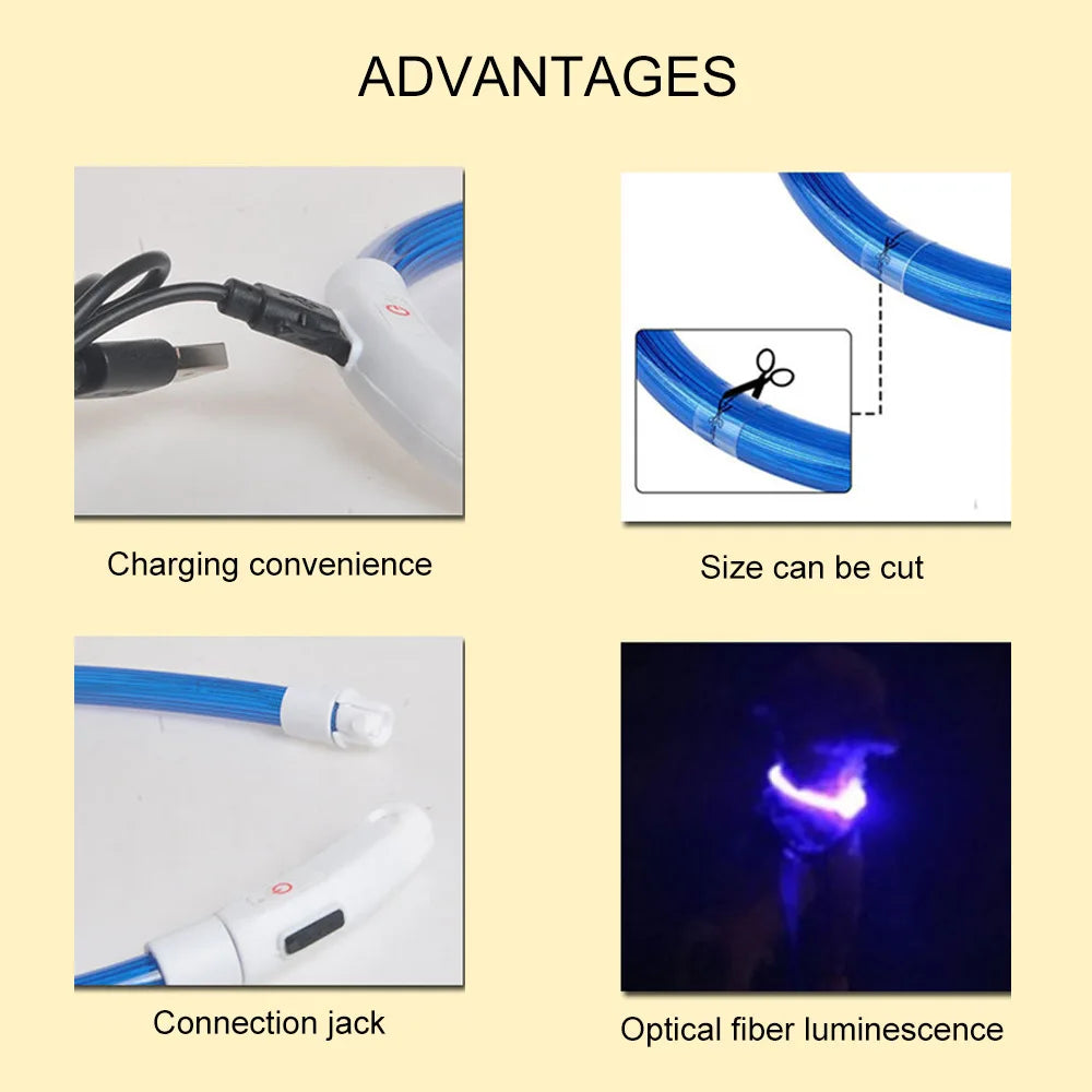 Rechargeable LED Safety Dog Collar