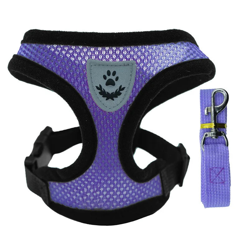 Adjustable Mesh Dog Vest and Leash Set for Small Pets