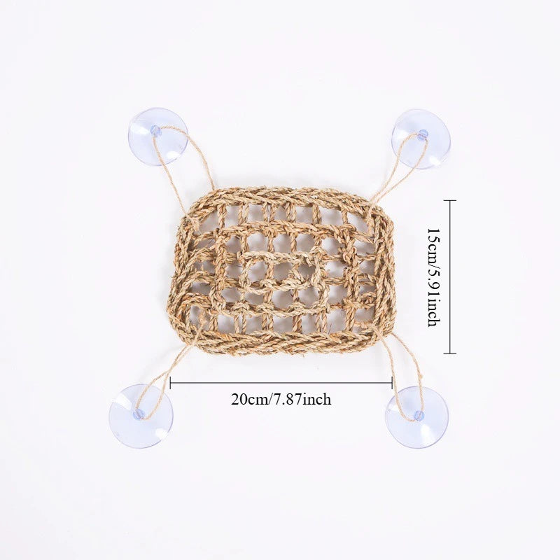 Seagrass Reptile Hammock and Suction Cup Bed