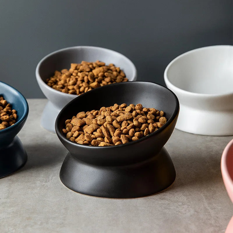 Tilted Elevated Ceramic Cat and Small Dog Bowl Stand
