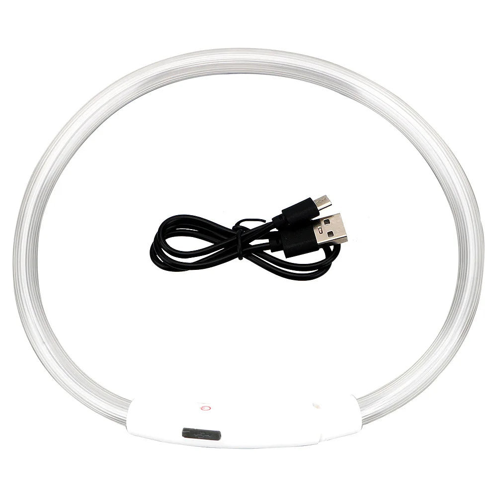 Rechargeable LED Safety Dog Collar