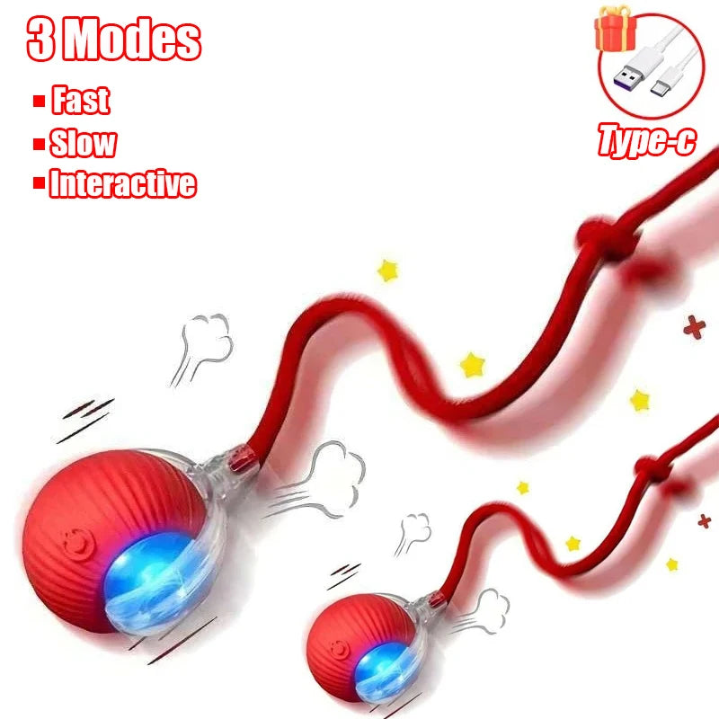 Rechargeable Interactive Rolling Cat Toy with Faux Tail