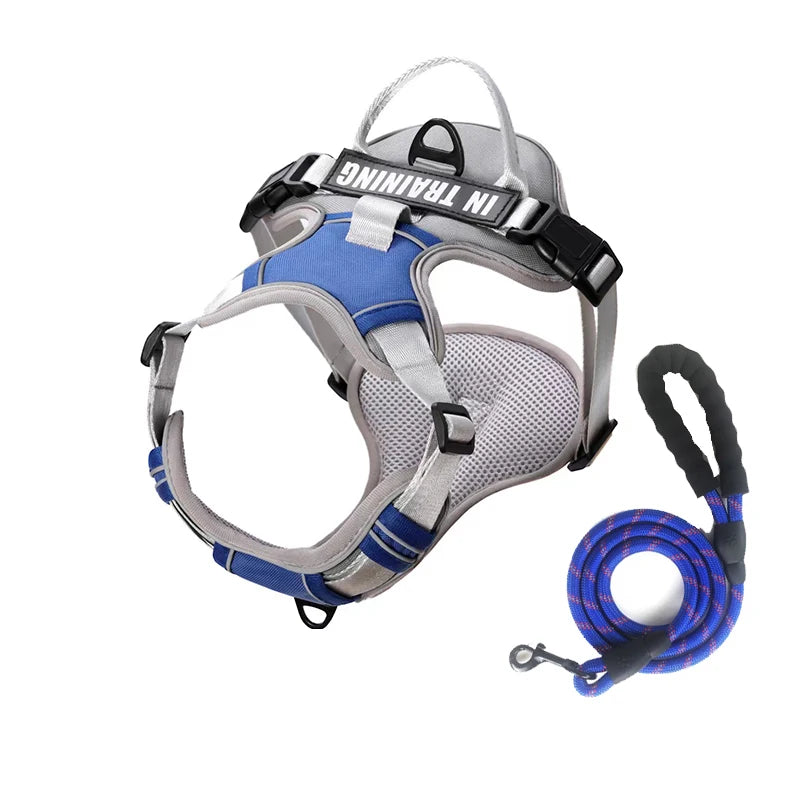 Personalized Reflective Breathable Dog Harness and Leash Set