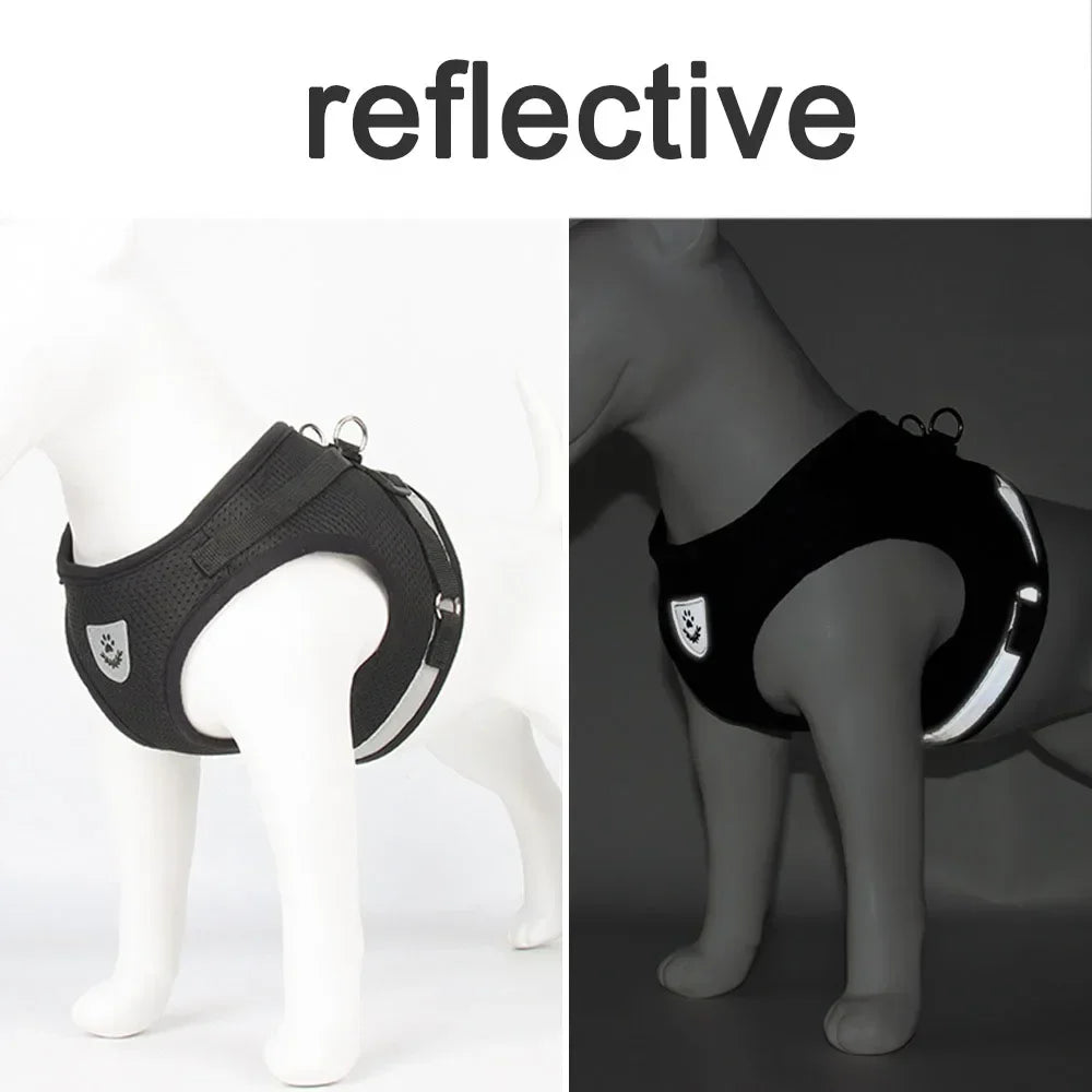 Reflective Escape-Proof Cat Harness and Leash Set