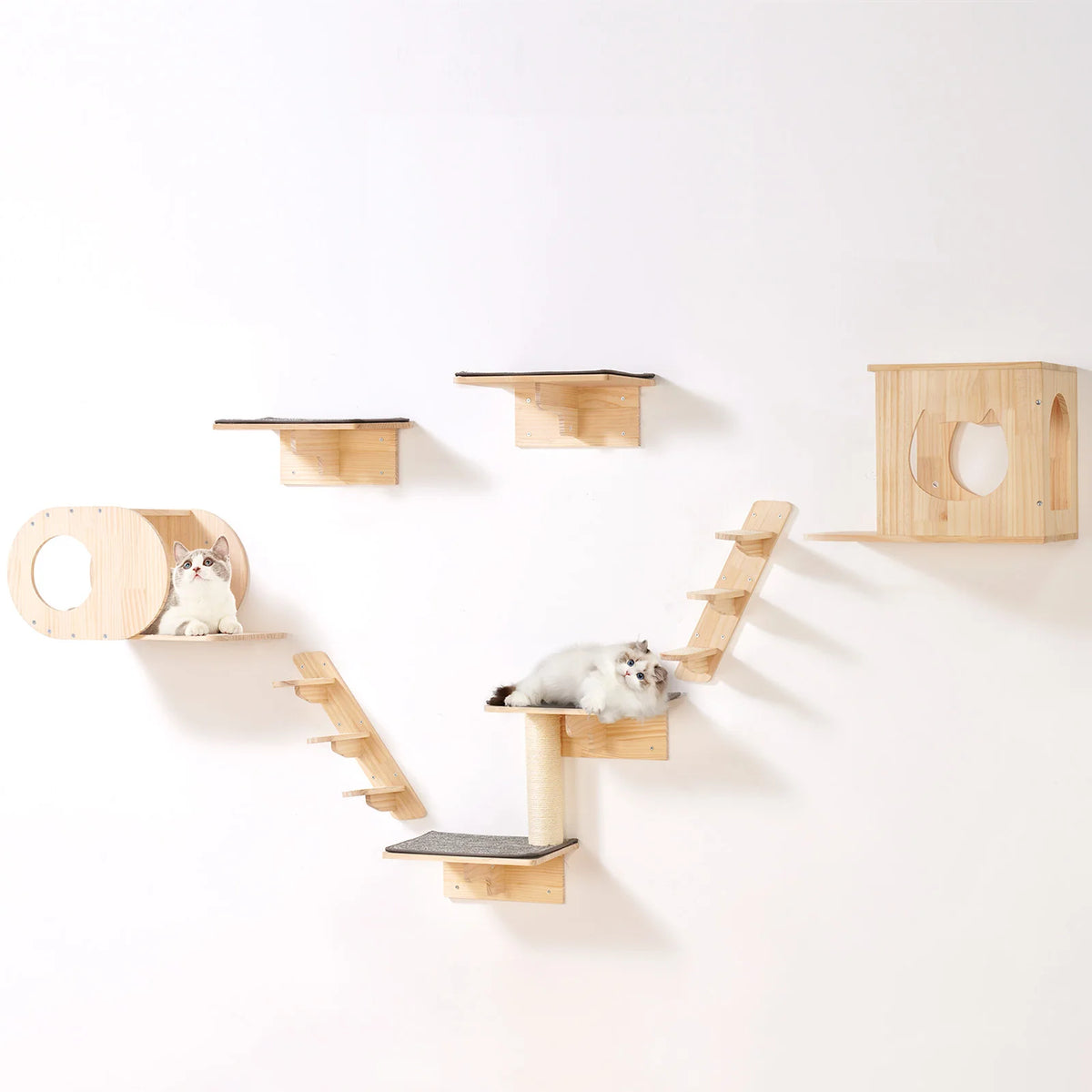 SucceBuy Wall Mounted Cat Shelves and Hammock Tree Furniture