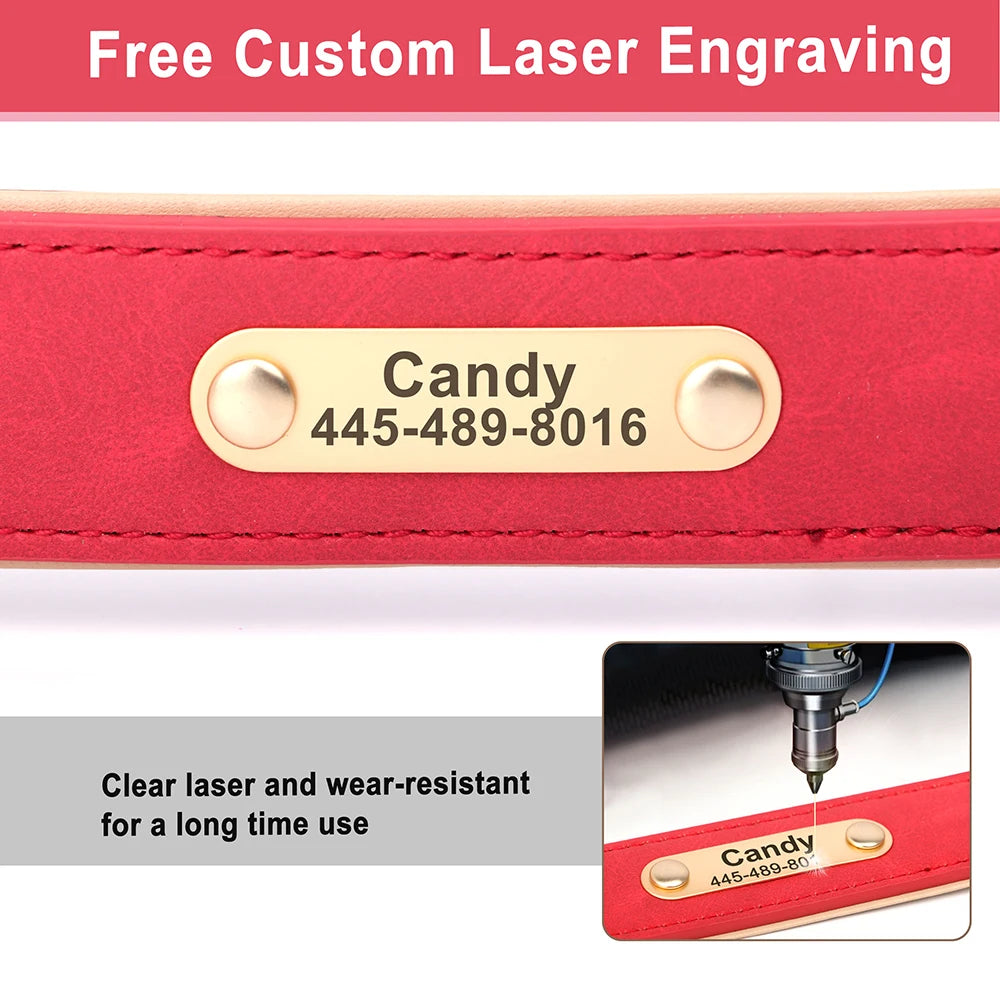 Personalized Leather Dog Collar with Engraved Nameplate