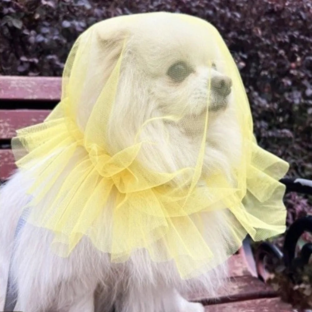 Breathable Adjustable Dog AntiBite Veil Mask