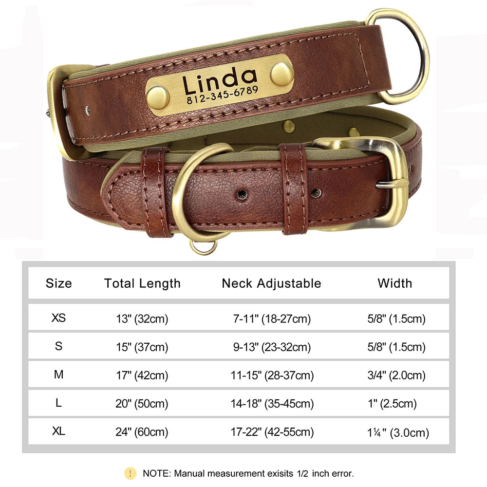 Personalized Leather Dog Collar with Engraved Nameplate