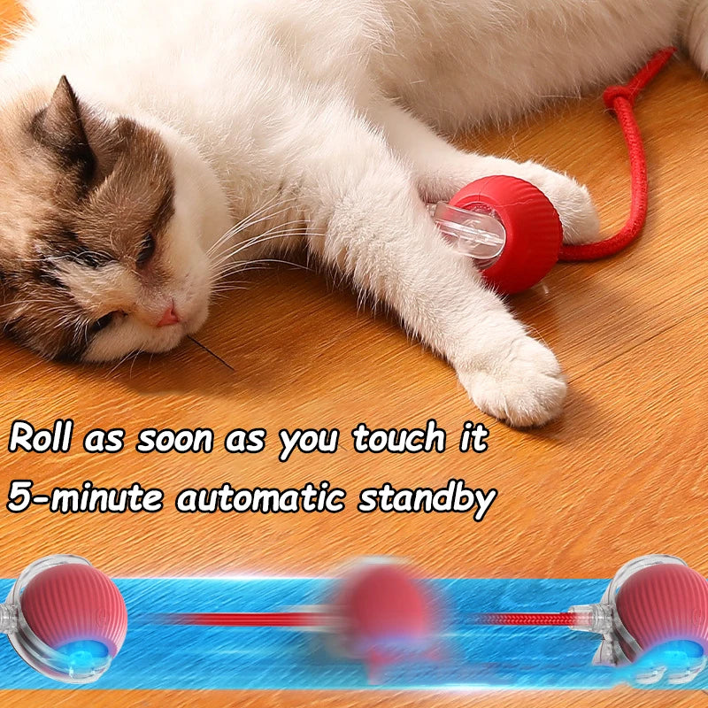 2 Pack Smart Interactive Rolling Cat Ball Toys with Faux Tails