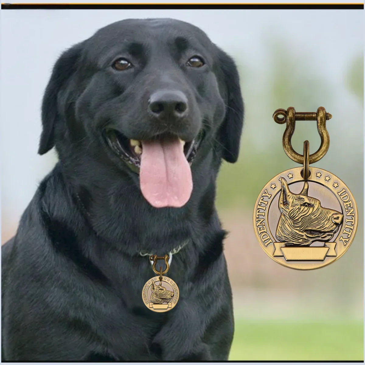VIP Pets Personalized Bronze Engraved Dog Cat ID Tag