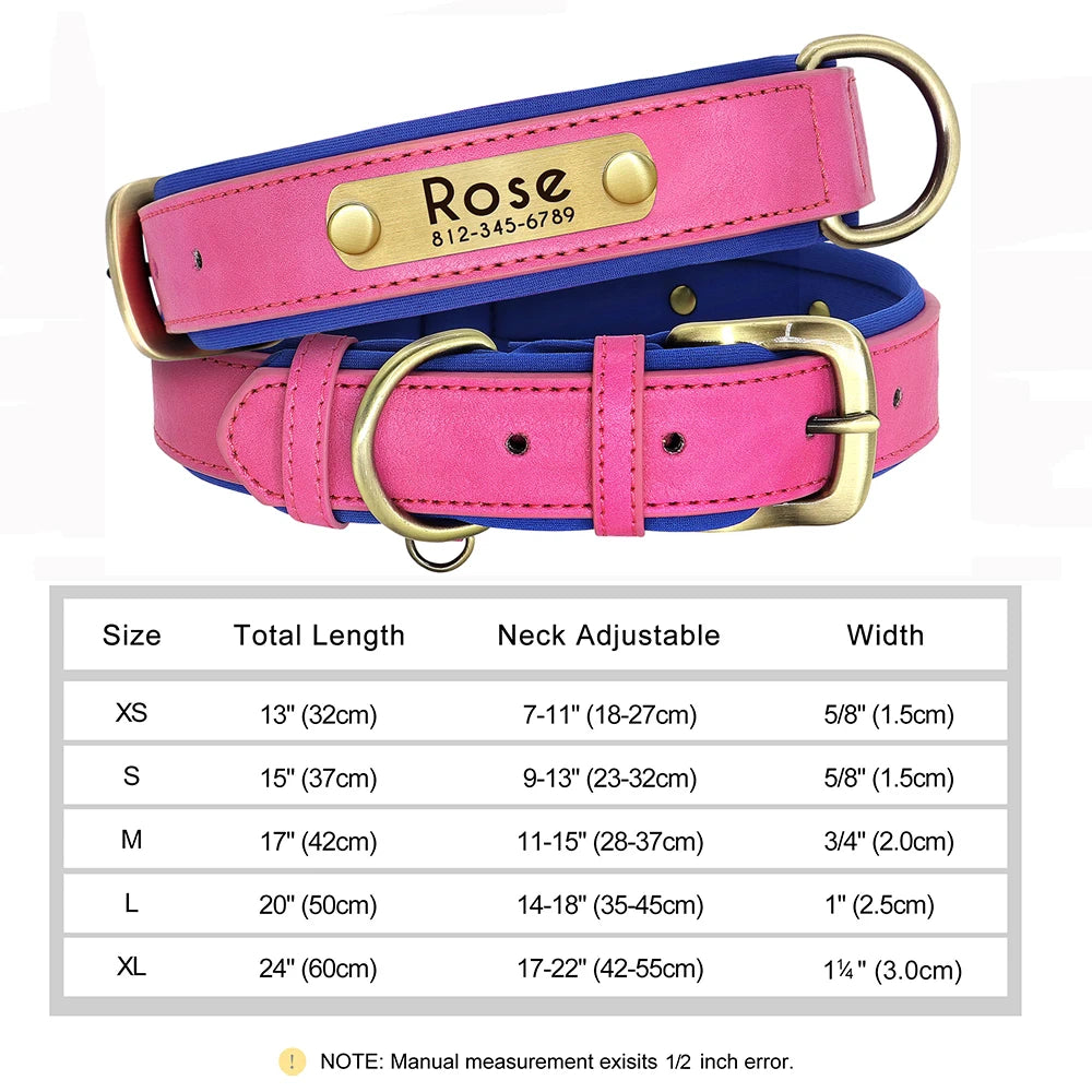 Personalized Leather Dog Collar with Engraved Nameplate