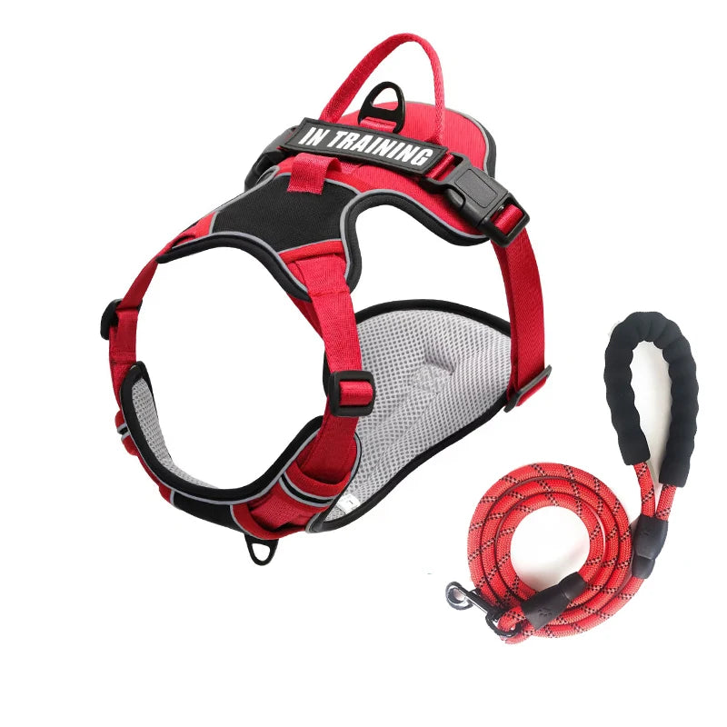 Personalized Reflective Breathable Dog Harness and Leash Set