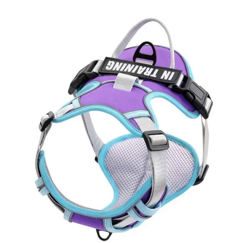 Personalized Reflective Breathable Dog Harness and Leash Set