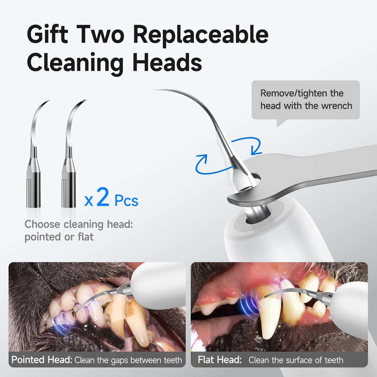 Electric Ultrasonic Pet Dental Scaler and Teeth Cleaner