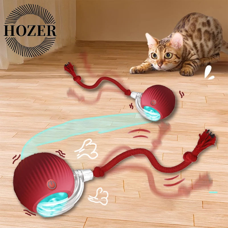 2 Pack Smart Interactive Rolling Cat Ball Toys with Faux Tails