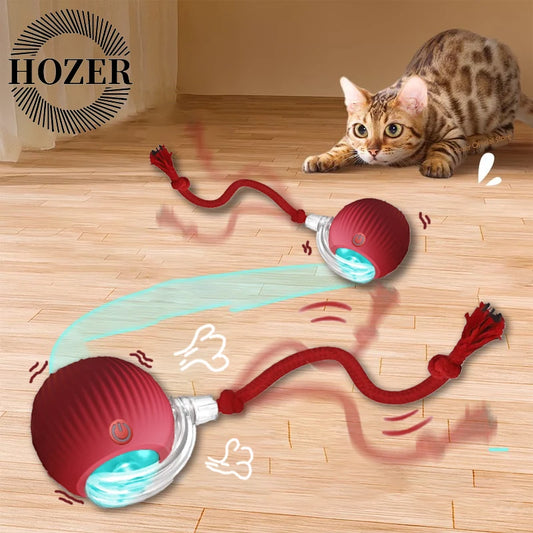 2 Pack Smart Interactive Rolling Cat Ball Toys with Faux Tails