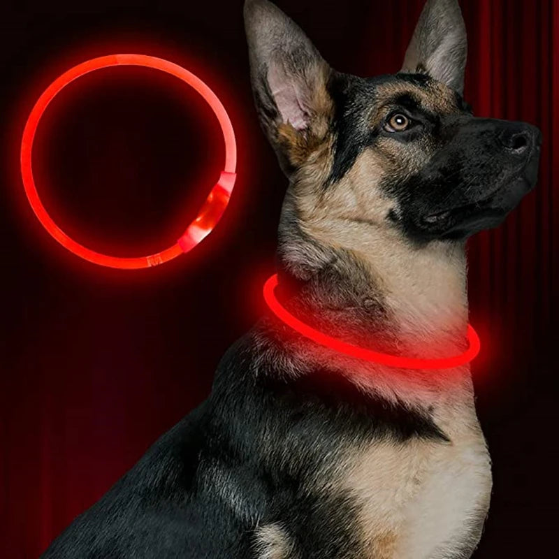 Rechargeable LED Safety Dog Collar