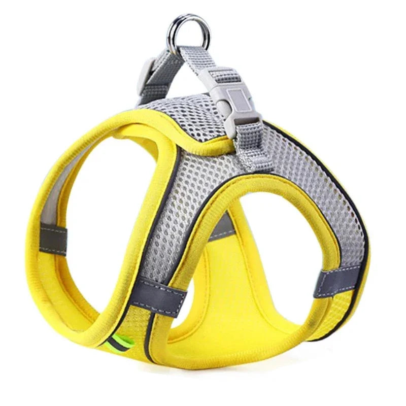 Reflective Breathable Adjustable Dog Harness And Leash Set