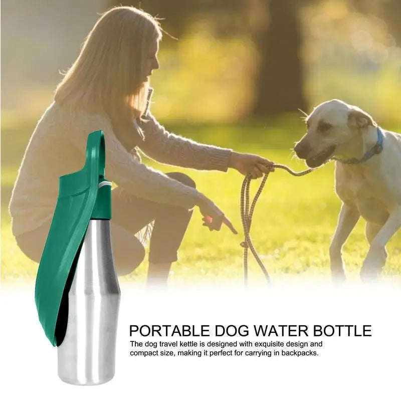 27oz Stainless Steel Travel Dog Water Bottle and Bowl