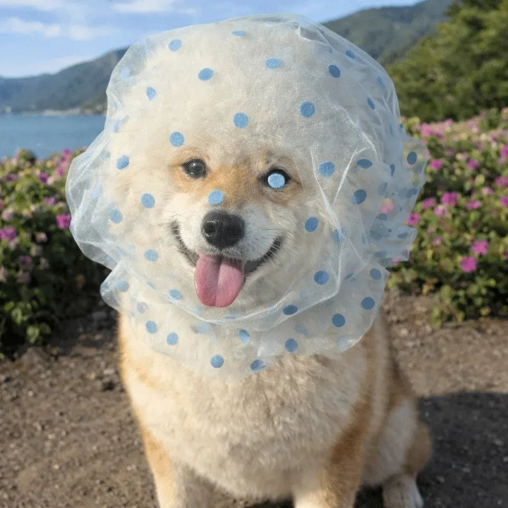 Breathable Adjustable Dog AntiBite Veil Mask