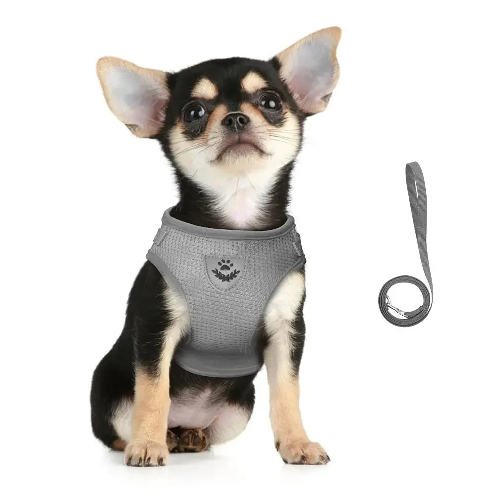 Reflective Escape-Proof Cat Harness and Leash Set