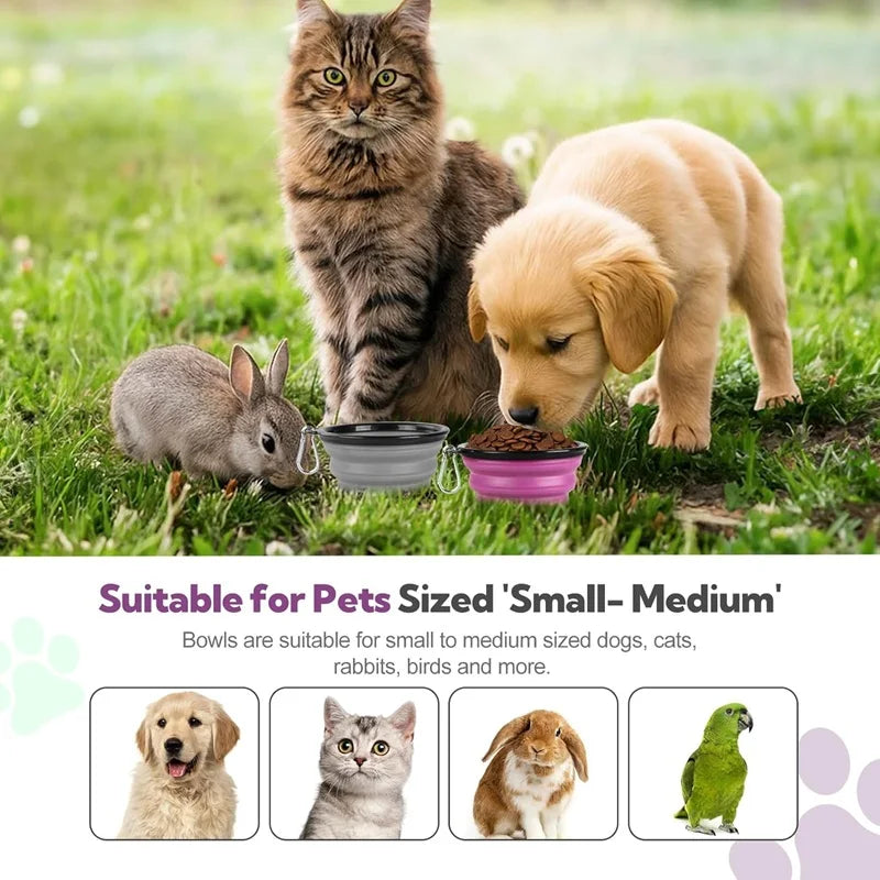 Portable Silicone 2-in-1 Pet Travel Bowl