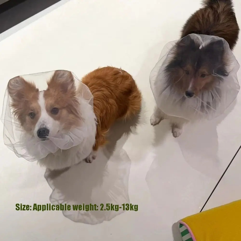 Breathable Adjustable Dog AntiBite Veil Mask