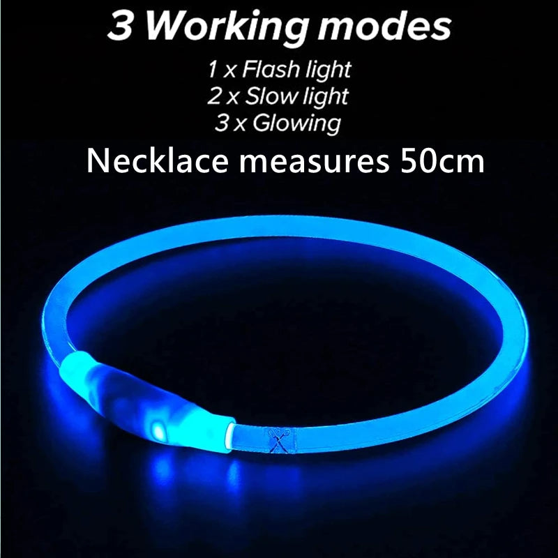 Rechargeable LED Safety Dog Collar