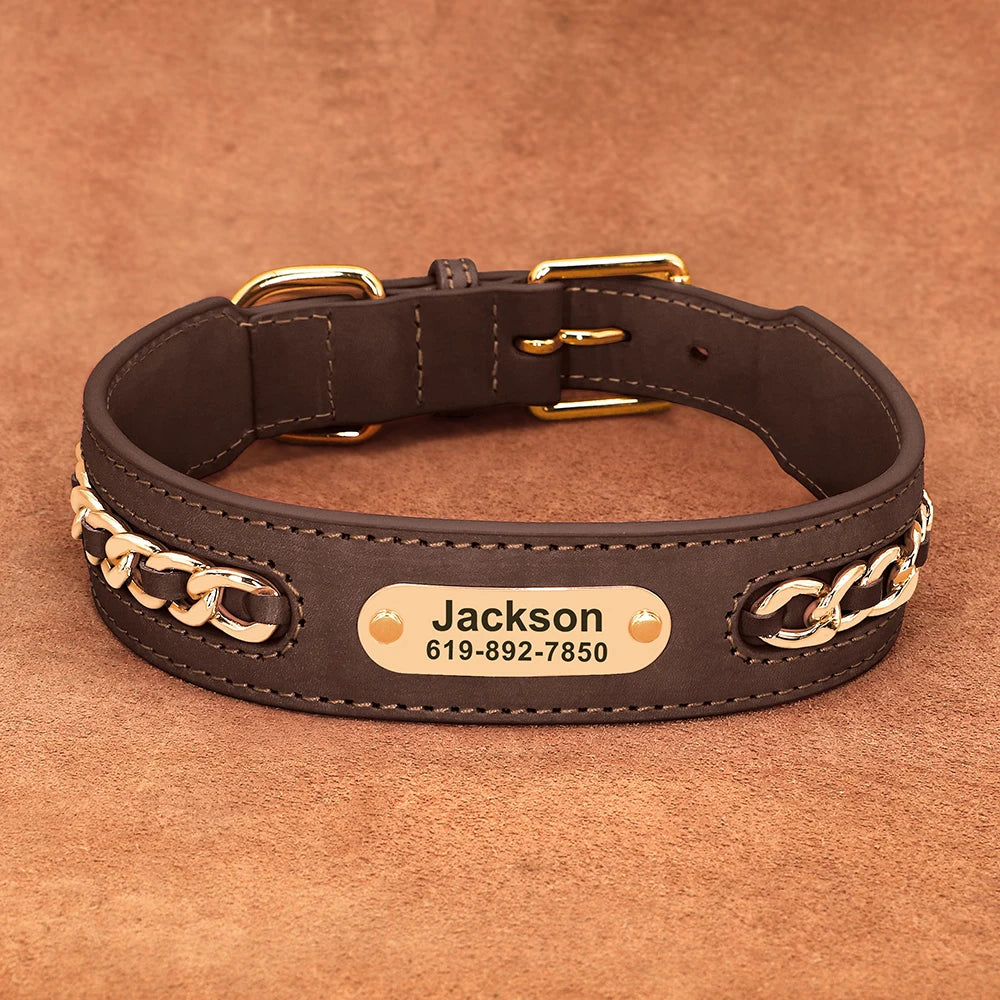 Personalized Engraved Leather Dog Collar and ID Nameplate