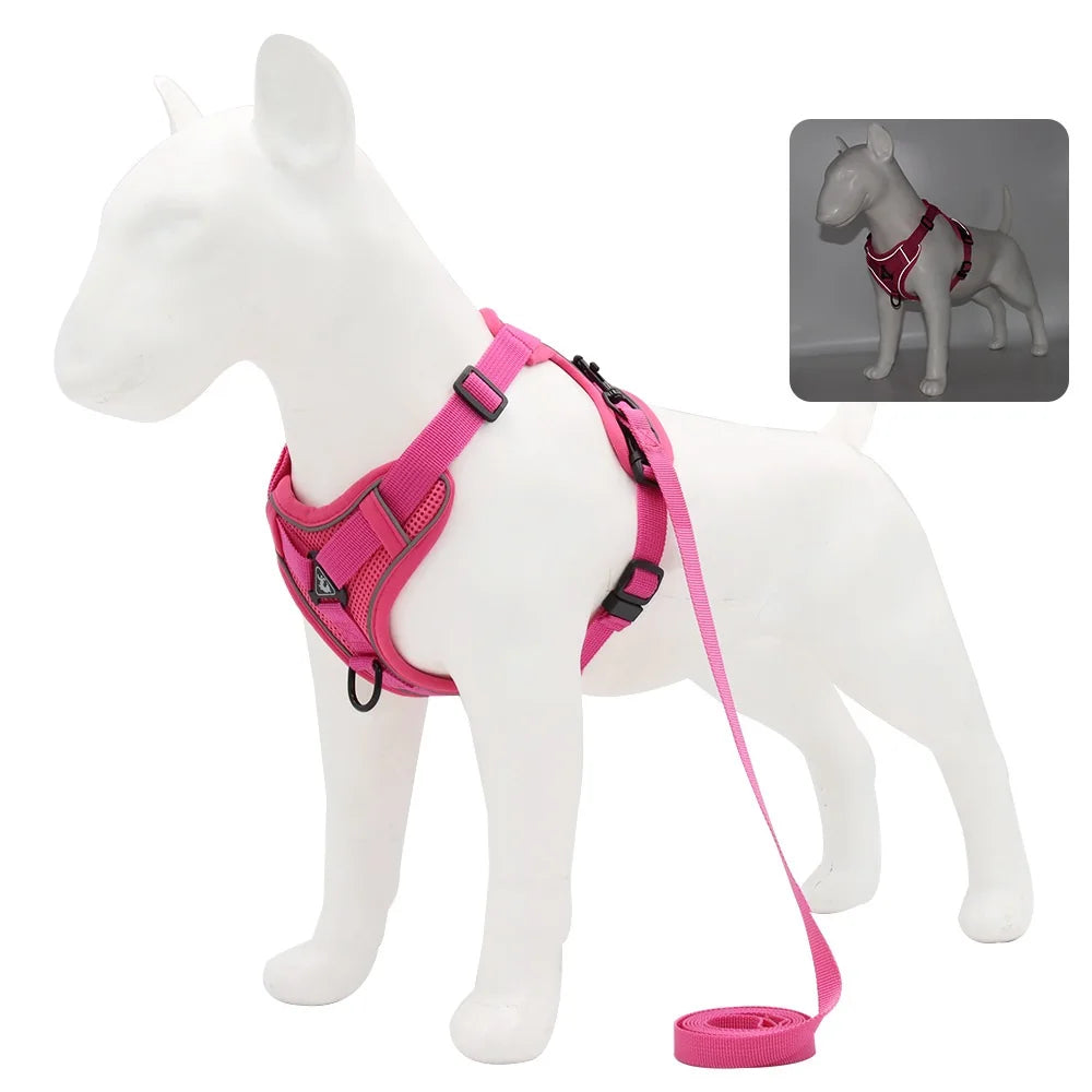 Small Dog Harness and Leash Set