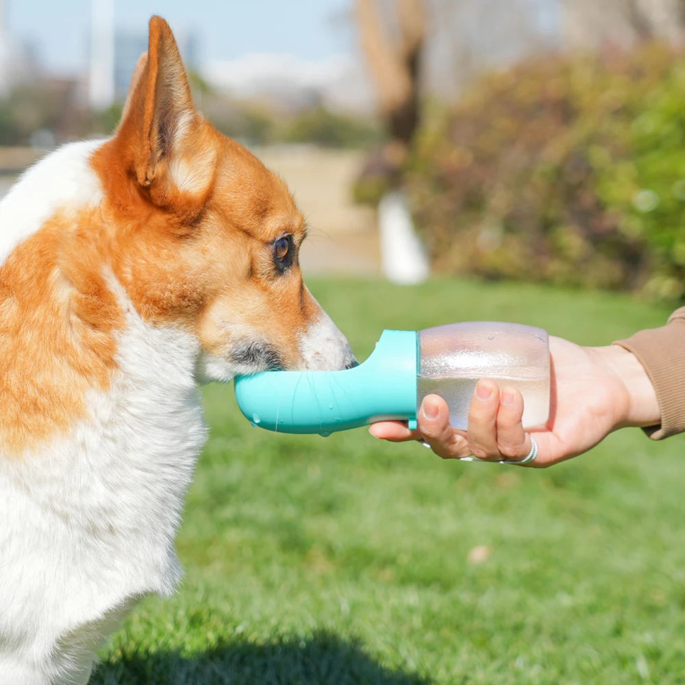 Portable 300ml Dog Water Bottle and Feeder