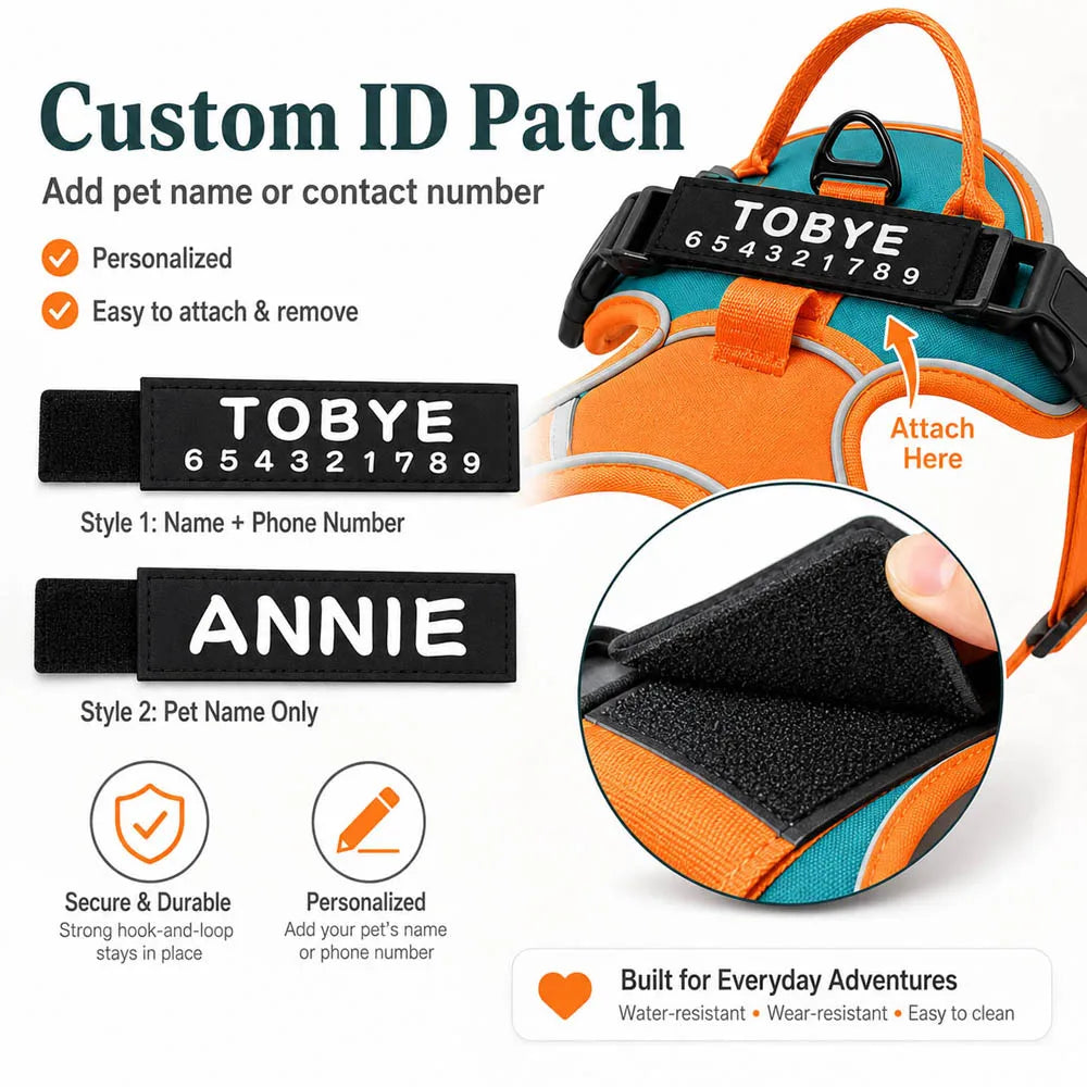 Personalized Reflective Breathable Dog Harness and Leash Set