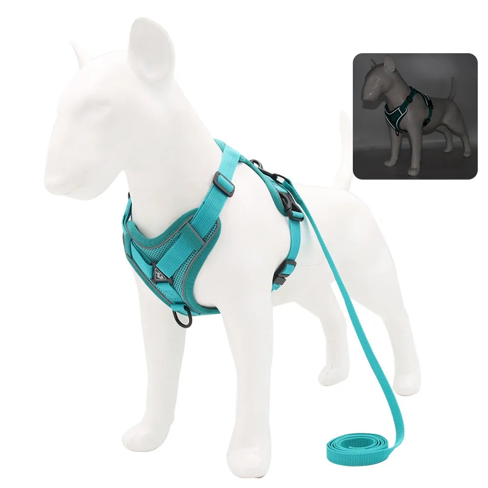 Small Dog Harness and Leash Set