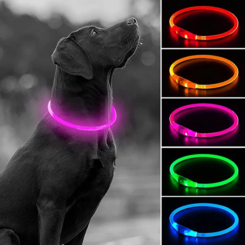 Rechargeable LED Safety Dog Collar