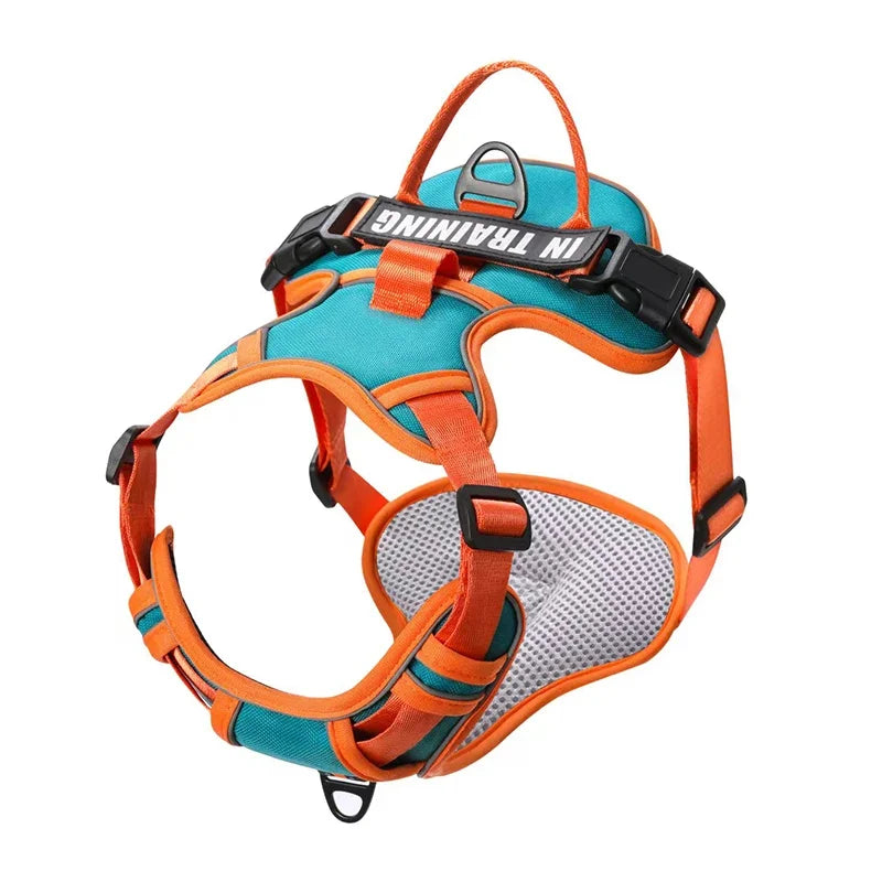 Personalized Reflective Breathable Dog Harness and Leash Set