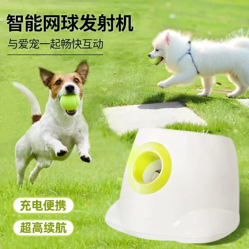 Automatic Dog Tennis Ball and Treat Launcher Toy