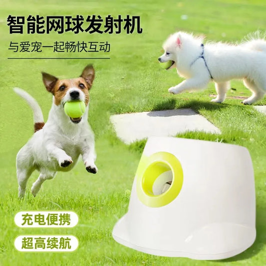 Automatic Dog Tennis Ball and Treat Launcher Toy