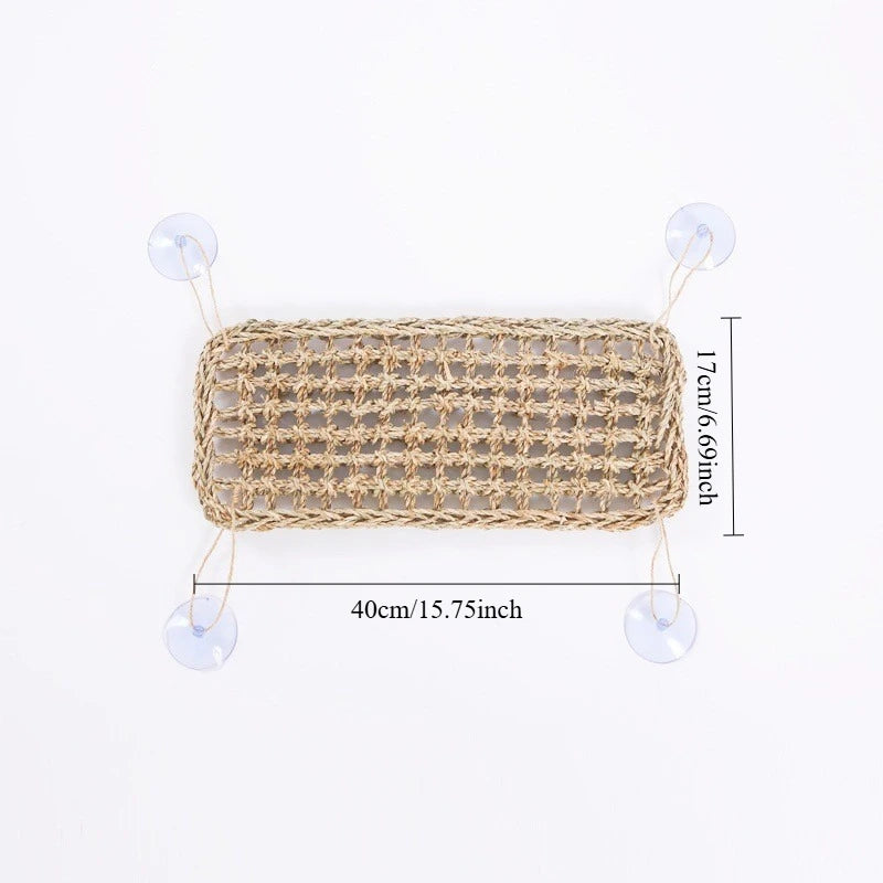 Seagrass Reptile Hammock and Suction Cup Bed