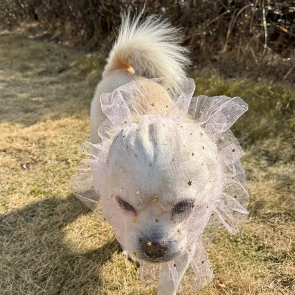 Breathable Adjustable Dog AntiBite Veil Mask