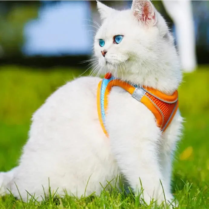 Reflective Adjustable Dog Harness And Leash Vest