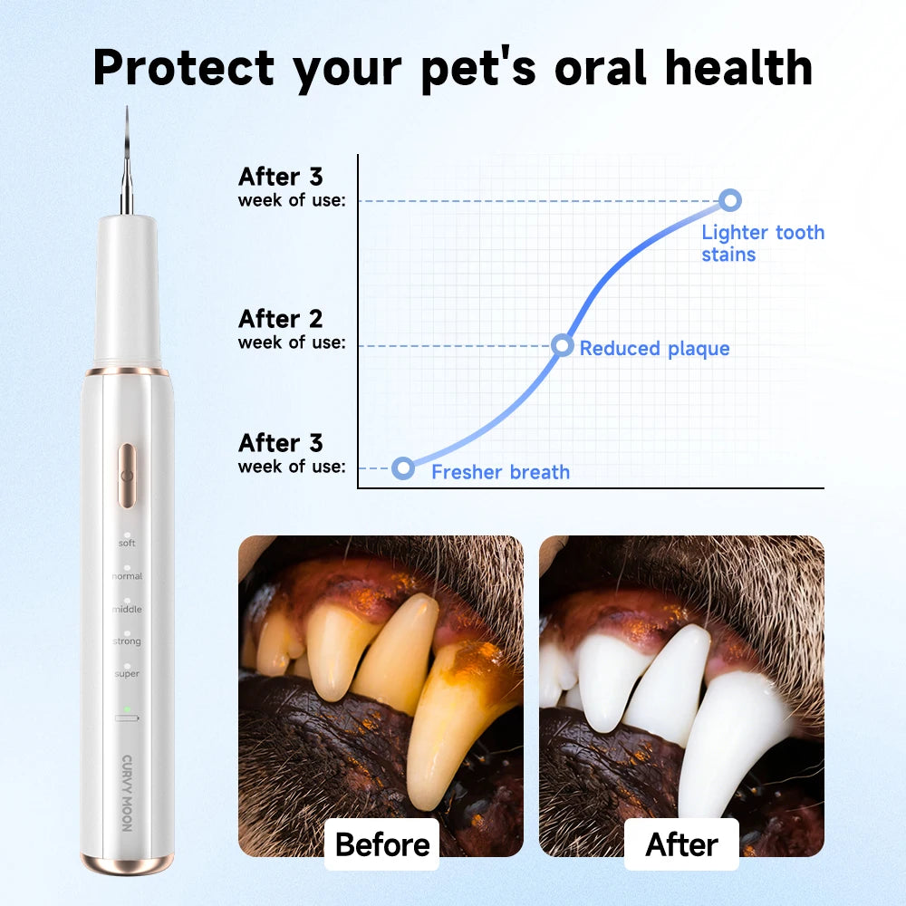 Electric Ultrasonic Pet Dental Scaler and Teeth Cleaner