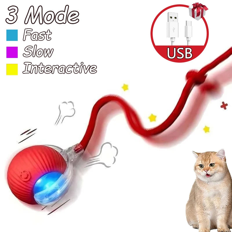 2 Pack Smart Interactive Rolling Cat Ball Toys with Faux Tails