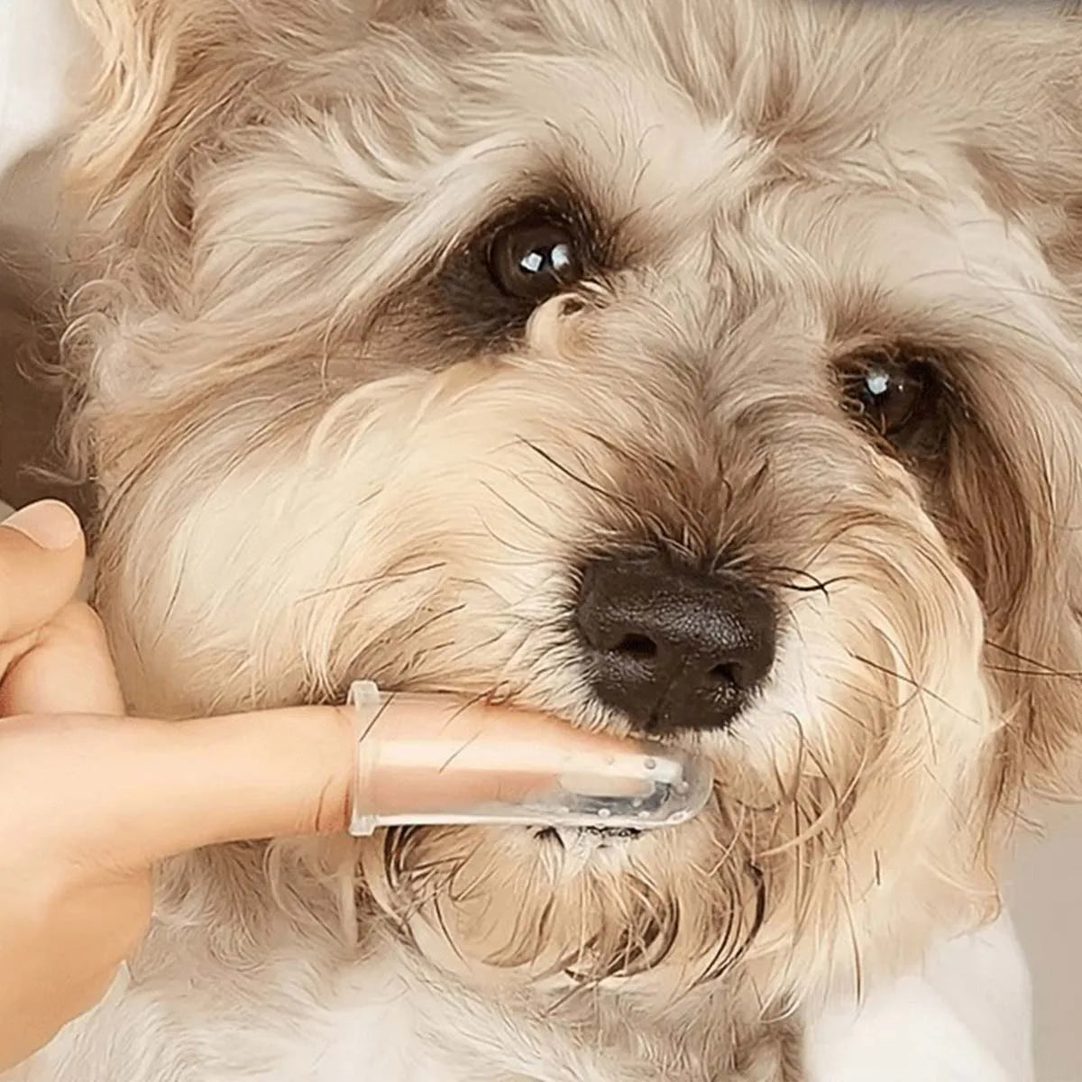 4-Piece Pet Finger Toothbrush Set for Dogs and Cats