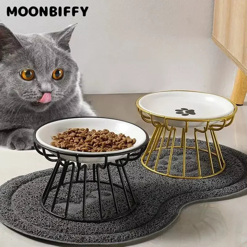 Raised Double Ceramic Pet Bowl and Stand