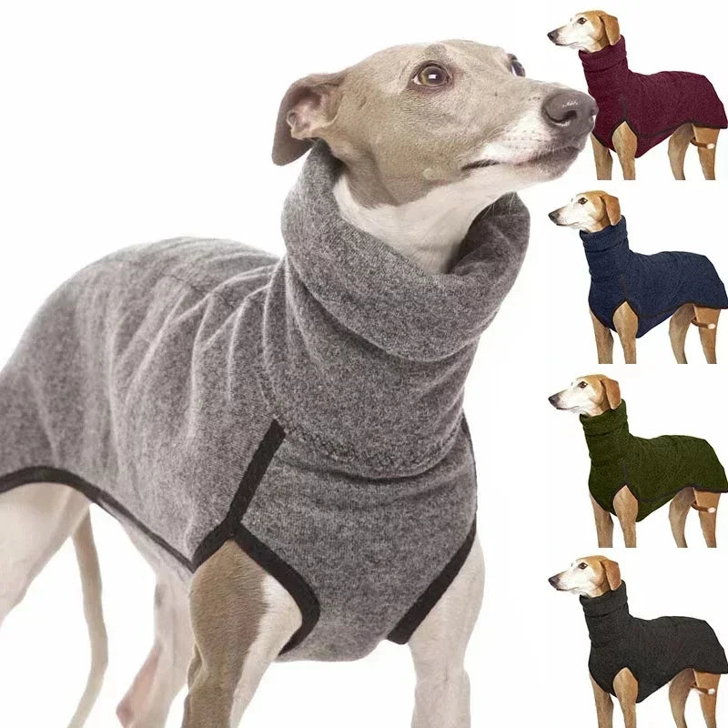 Warm High Collar Greyhound Winter Sweater