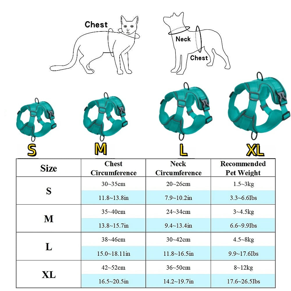 Small Dog Harness and Leash Set