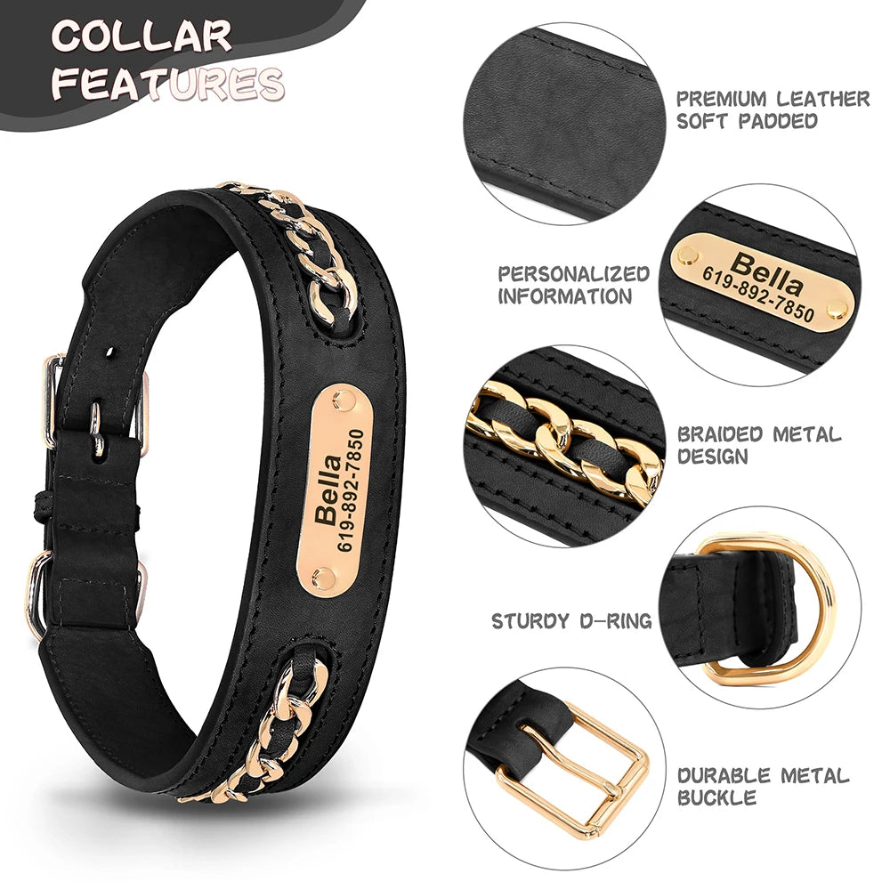 Personalized Engraved Leather Dog Collar and ID Nameplate