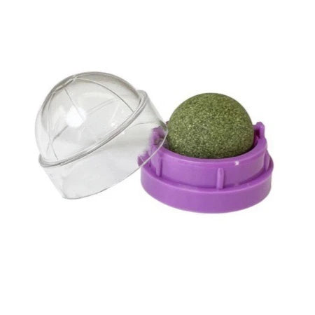 Wall Mount Catnip Ball Cat Toy Natural Treat