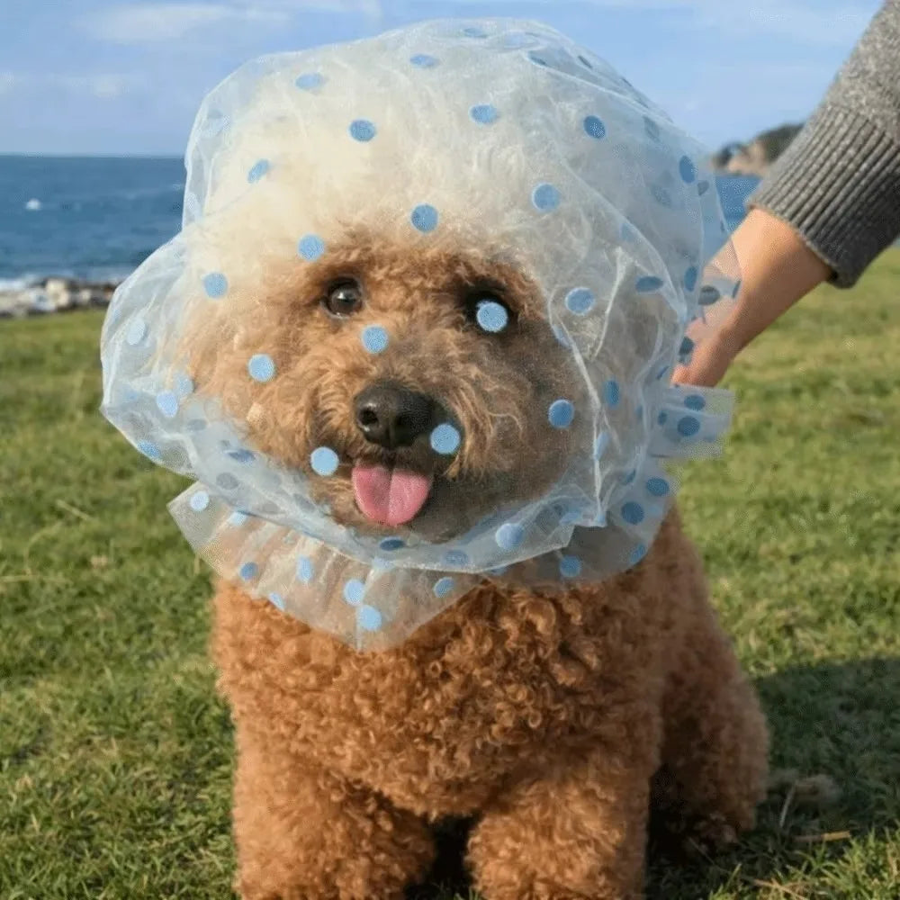 Breathable Adjustable Dog AntiBite Veil Mask